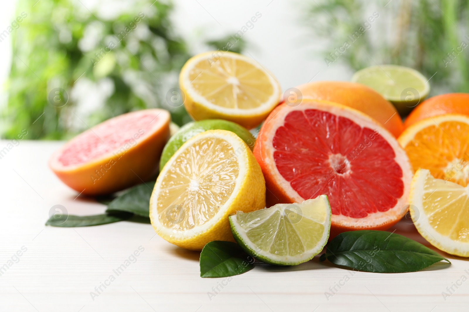 Photo of Different cut and whole citrus fruits on white wooden table, closeup