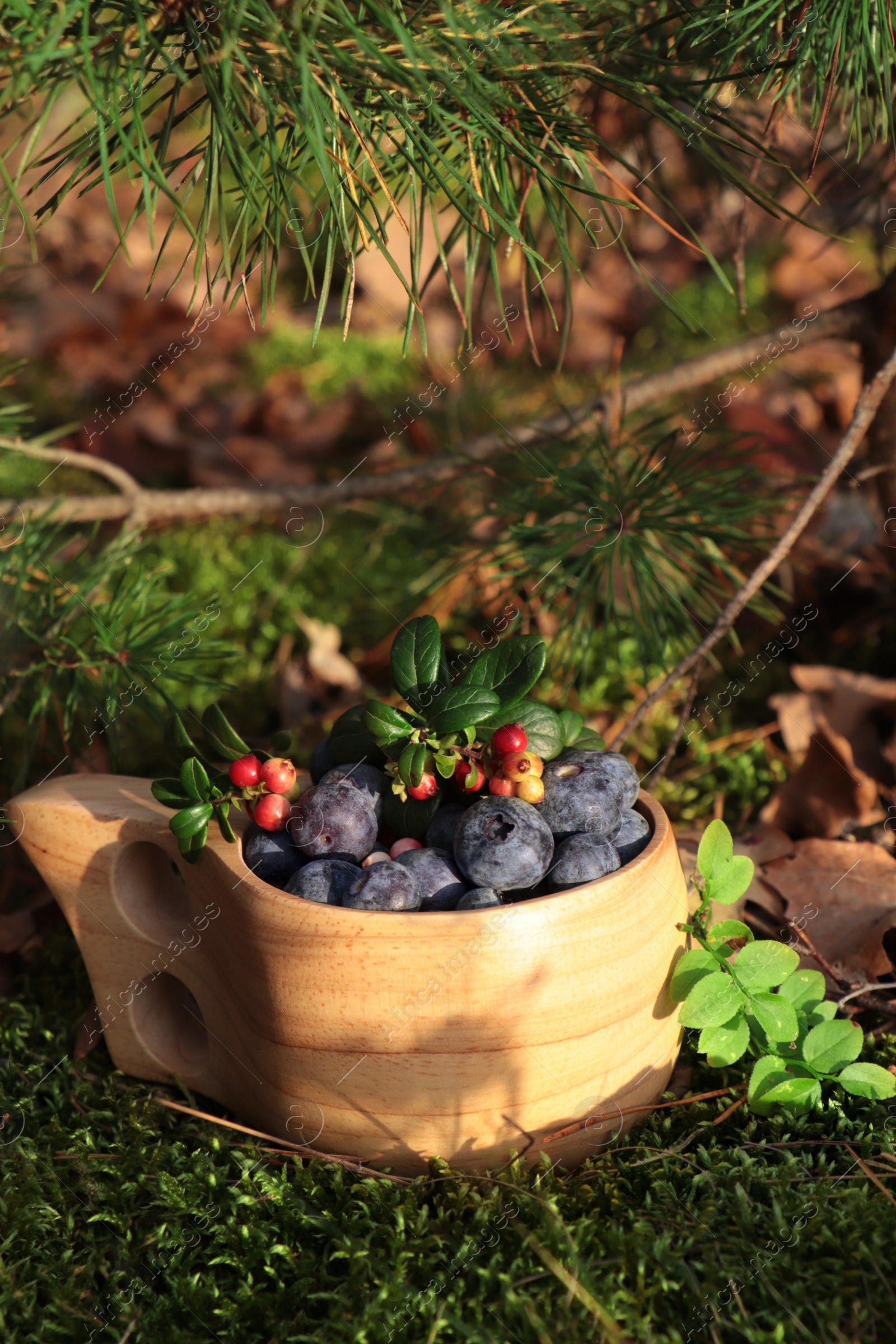 Photo of Wooden mug full of fresh ripe blueberries and lingonberries on grass