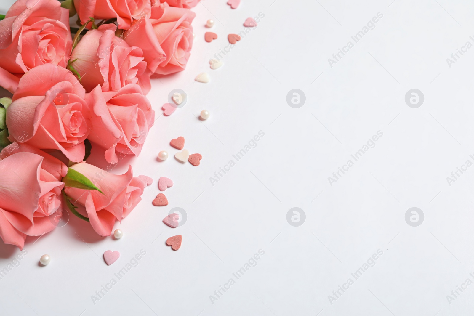 Photo of Beautiful roses and little hearts on white background