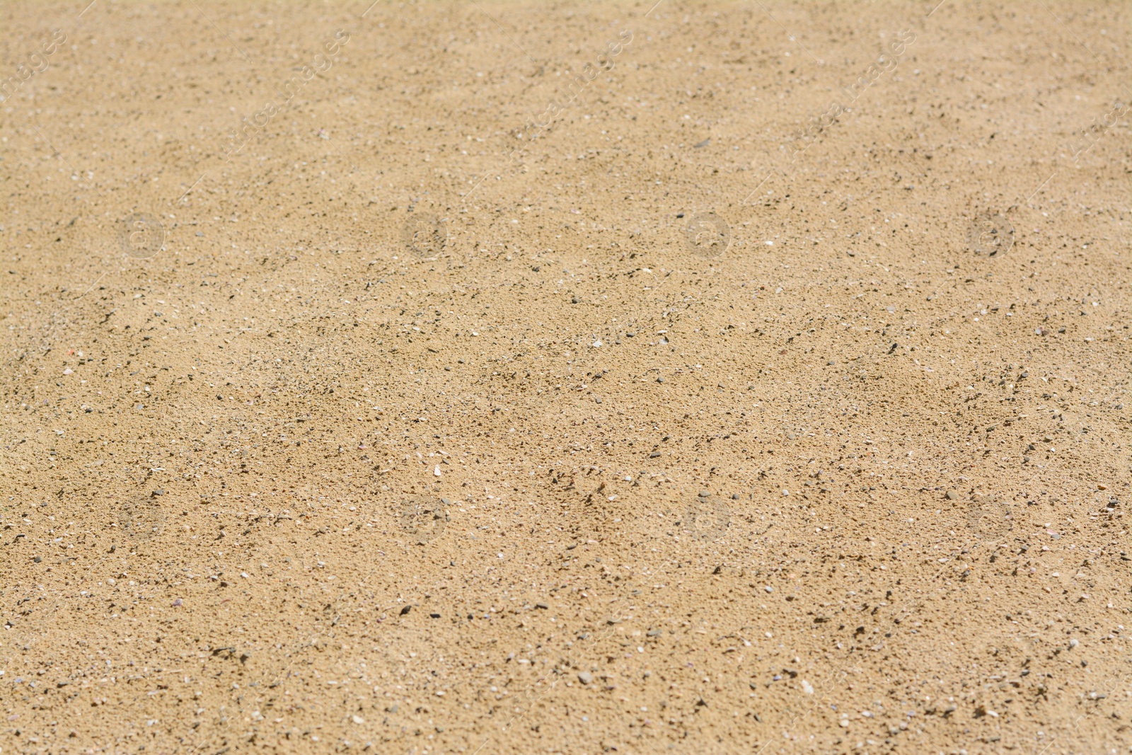 Photo of Texture of sandy beach as background, closeup