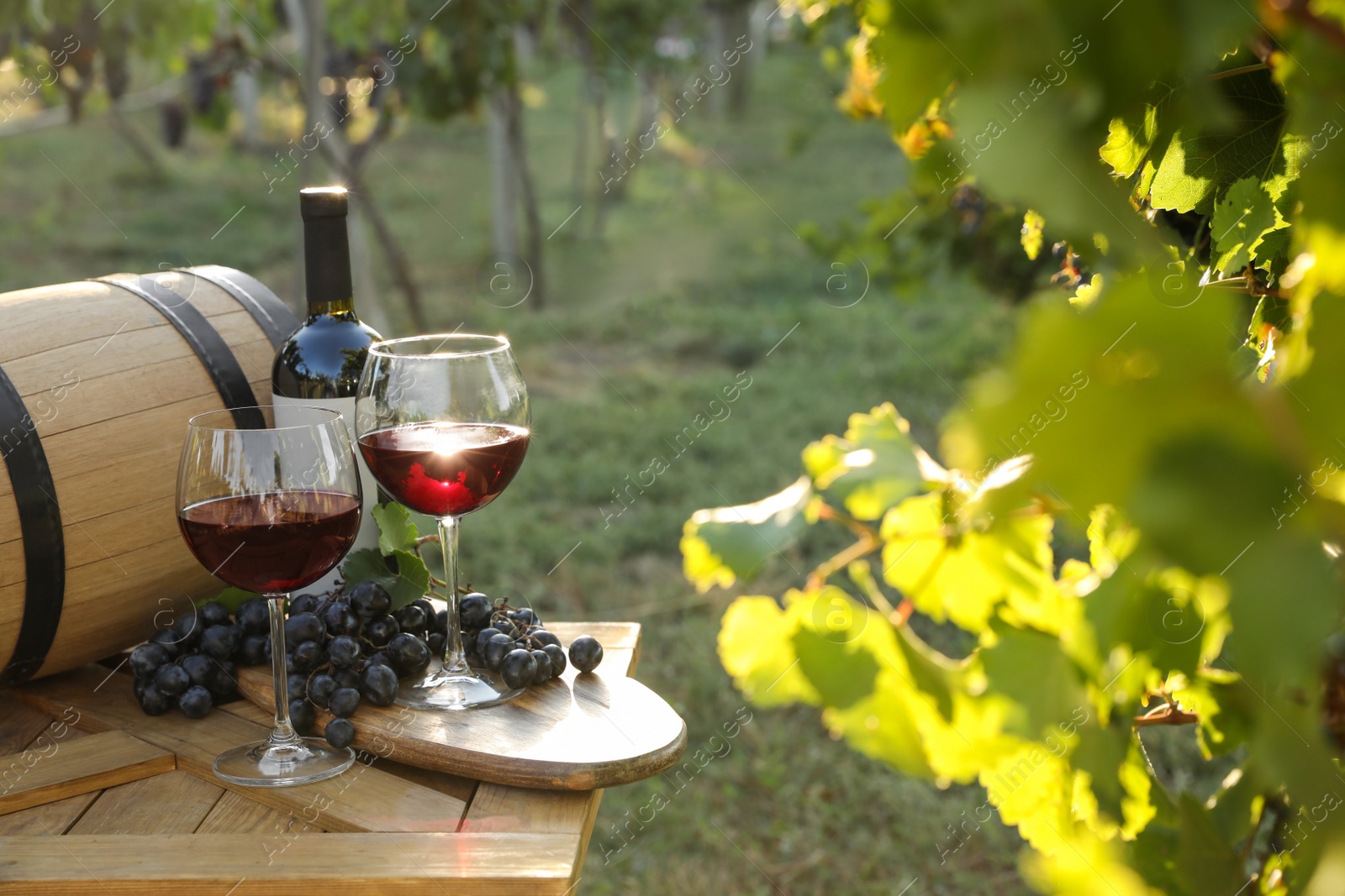 Photo of Composition with wine and ripe grapes on wooden table in vineyard