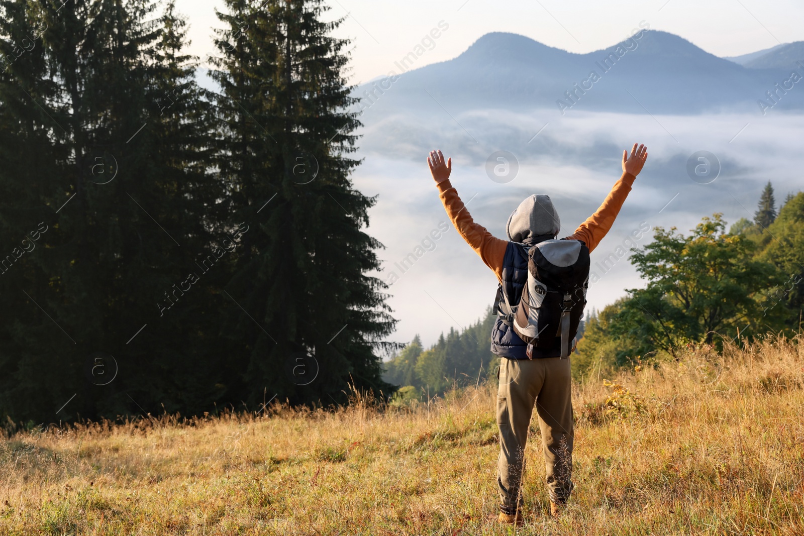 Photo of Tourist with backpack in mountains on sunny day, back view. Space for text