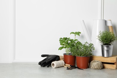 Different aromatic potted herbs, gardening tools, gloves and threads on floor near white wall. Space for text