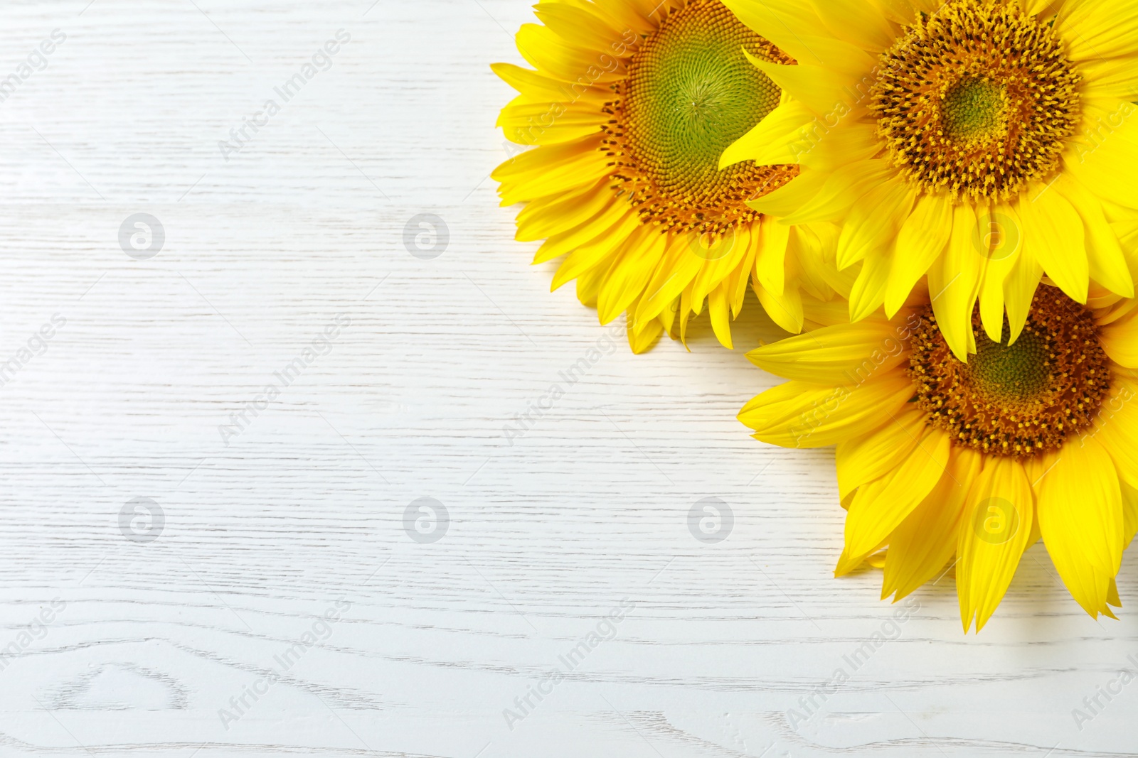 Photo of Yellow sunflowers on wooden background, top view