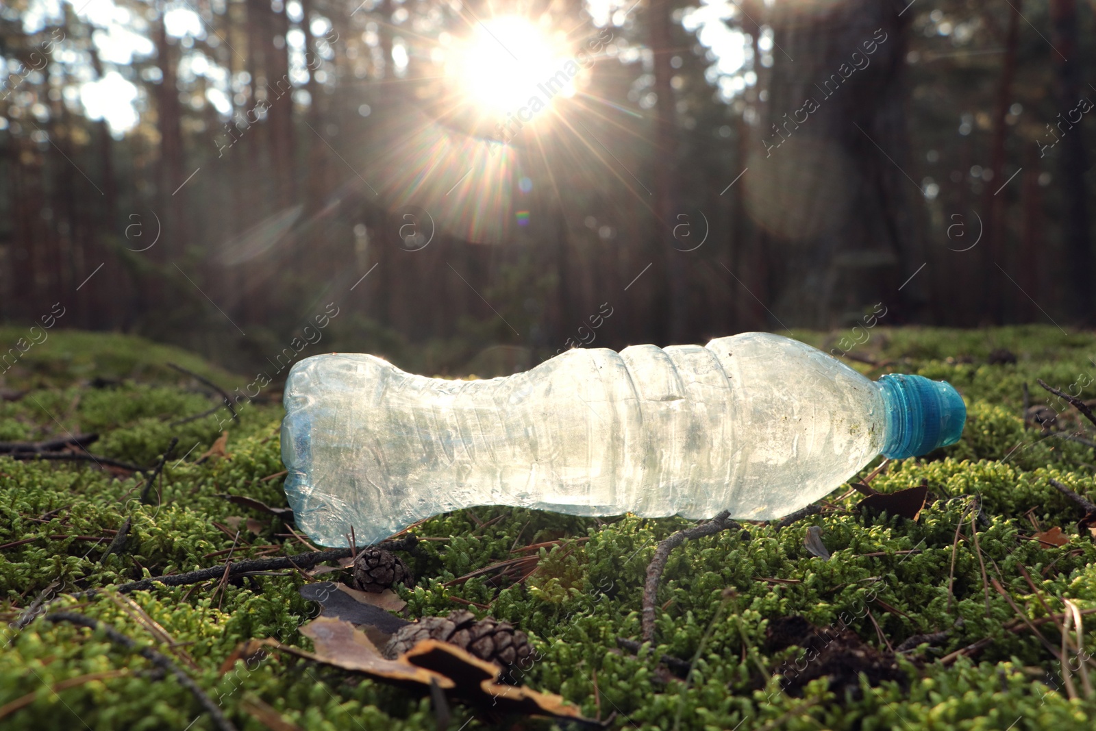 Photo of Used plastic bottle on grass in forest. Recycling problem