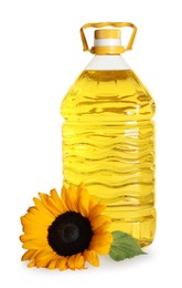 Photo of Sunflower cooking oil and yellow flower on white background