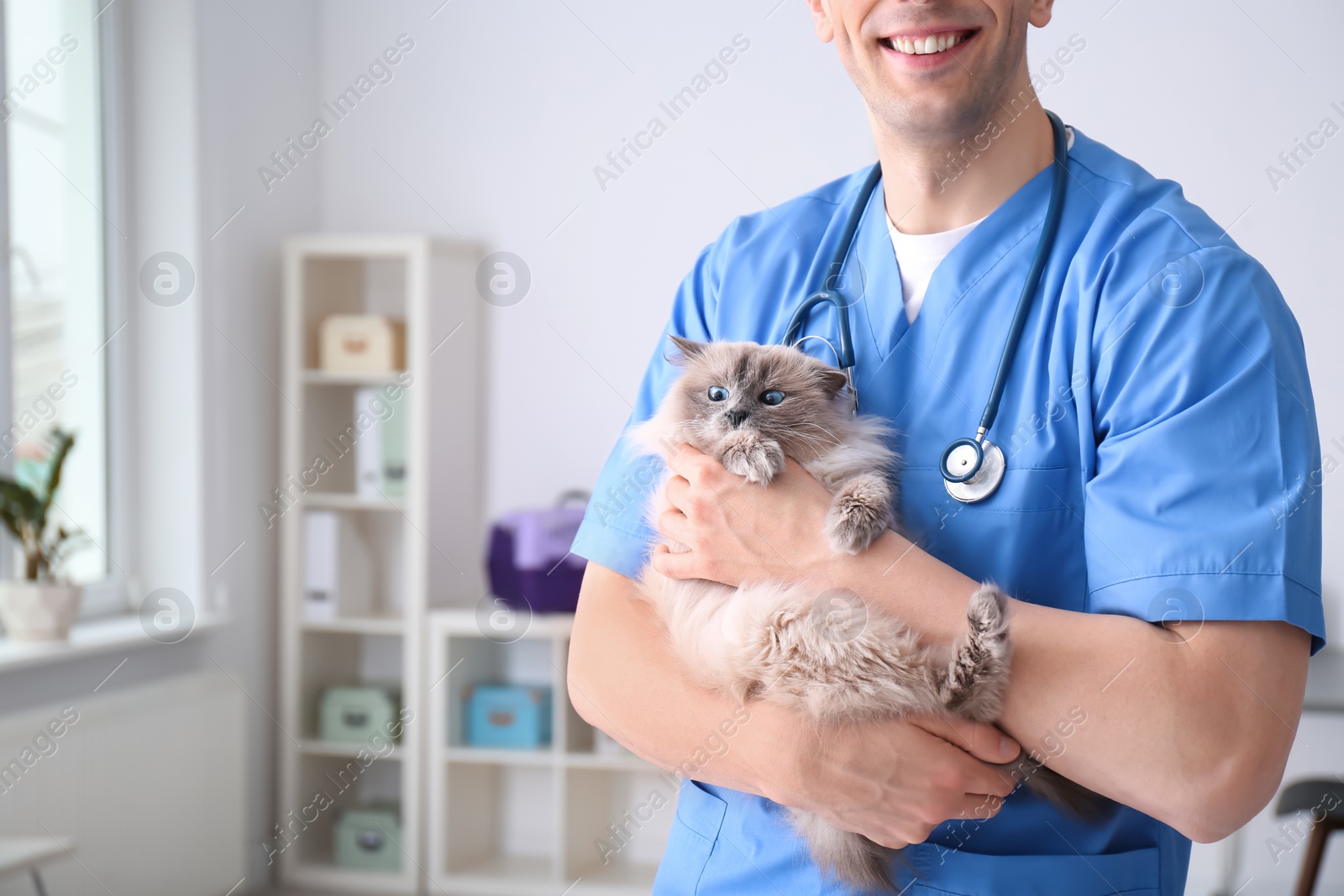 Photo of Young veterinarian holding cat in clinic