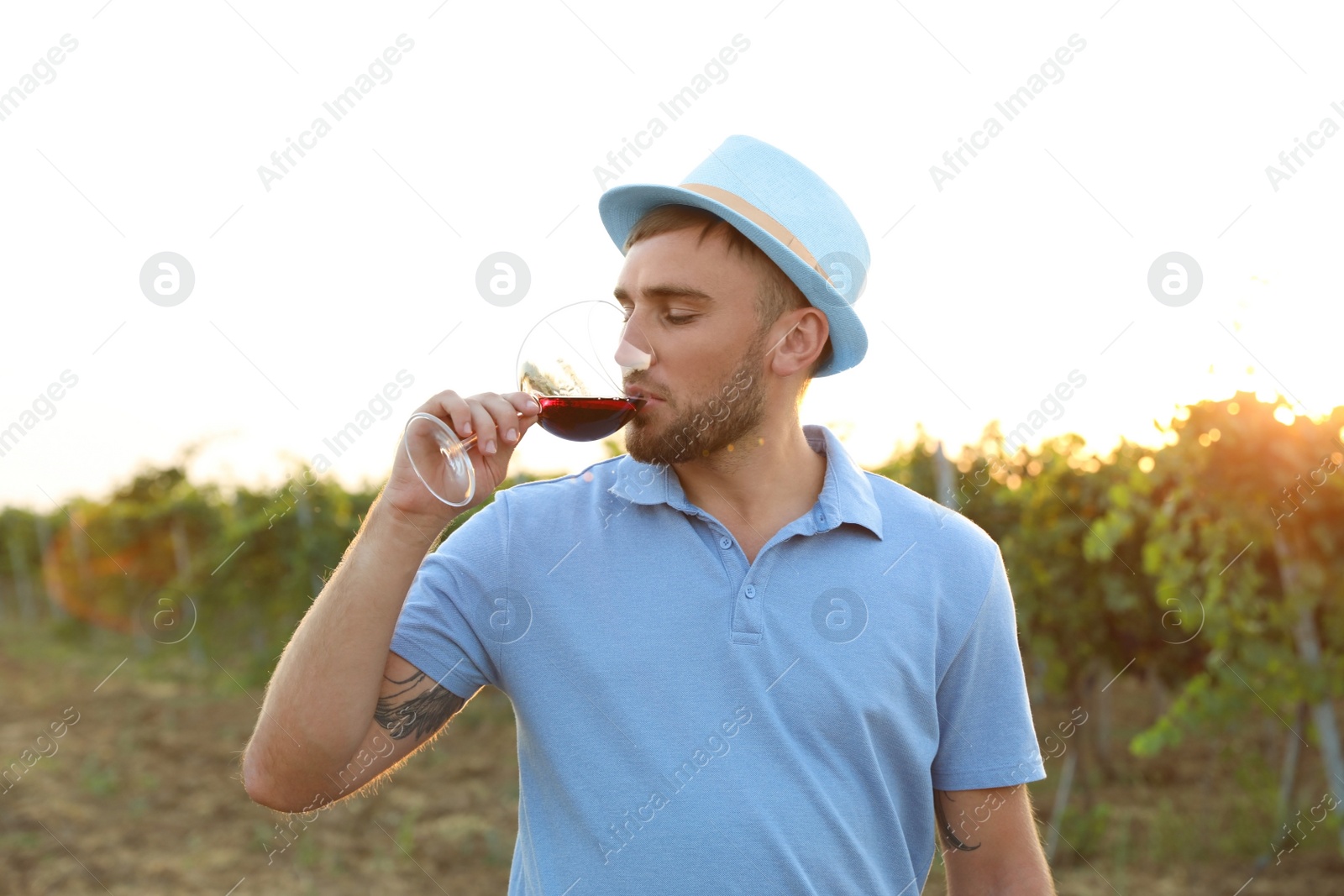 Photo of Young handsome man enjoying wine at vineyard on sunny day