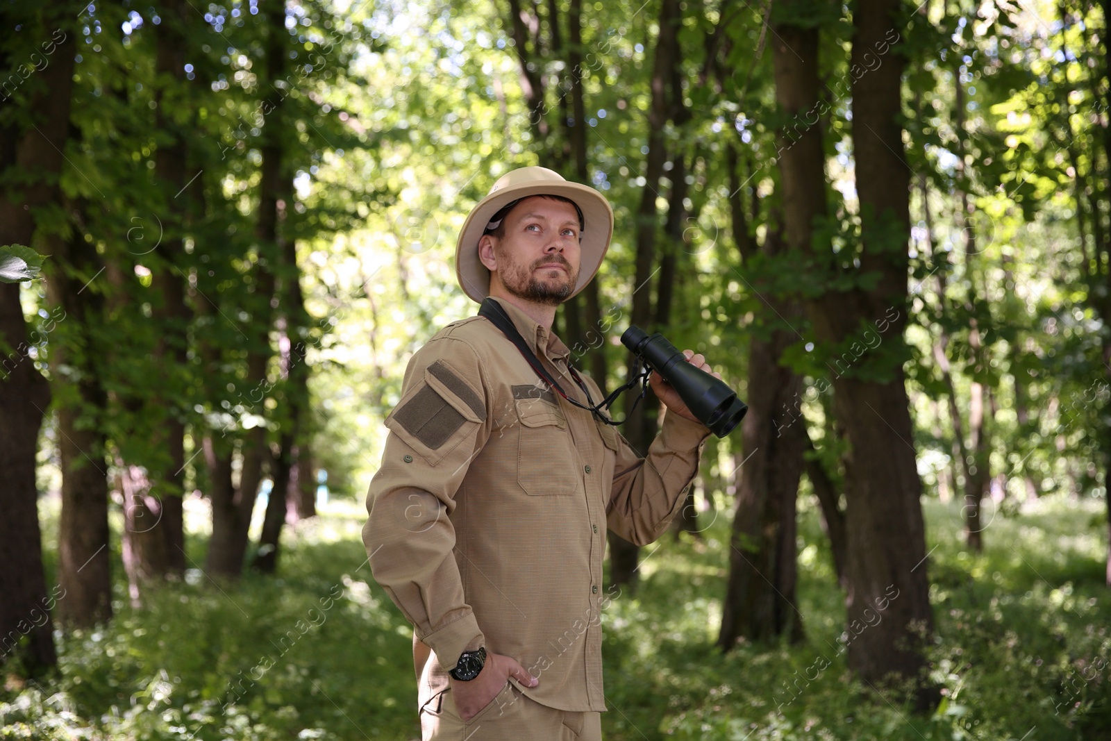 Photo of Forester with binoculars examining plants in forest