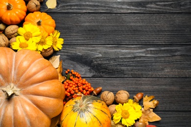 Photo of Flat lay composition with ripe pumpkins and autumn leaves on black wooden table, space for text. Happy Thanksgiving day