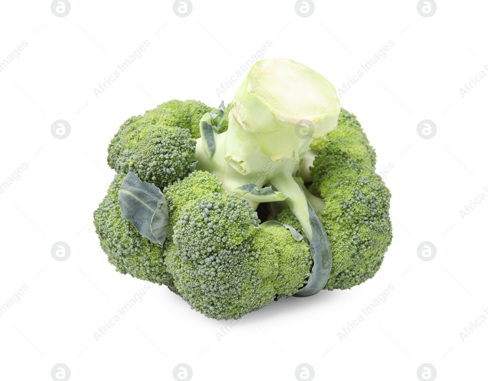 Photo of Fresh raw green broccoli isolated on white