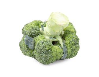 Fresh raw green broccoli isolated on white