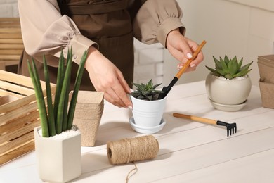 Photo of Woman transplanting beautiful succulent plant at white wooden table, closeup