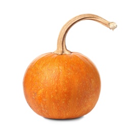 Photo of Whole fresh raw pumpkin isolated on white