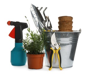 Photo of Different modern gardening tools on white background