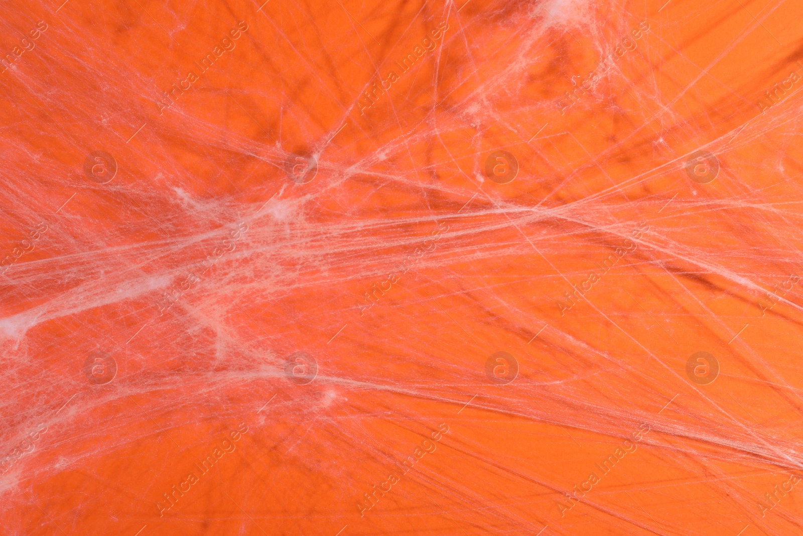 Photo of Creepy white cobweb hanging on orange background, closeup