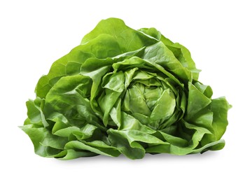 Photo of Fresh green butter lettuce head isolated on white