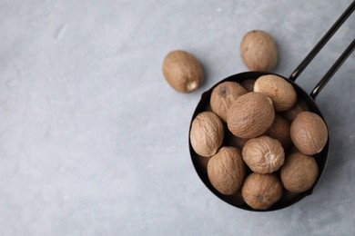 Photo of Whole nutmegs in small saucepan on light table, top view. Space for text