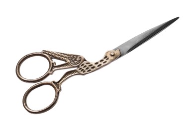 Photo of Beautiful scissors with bird shaped handles on white background