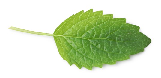 Photo of Fresh lemon balm leaf isolated on white, top view