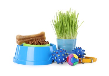 Photo of Various pet toys, bowl and wheatgrass on white background