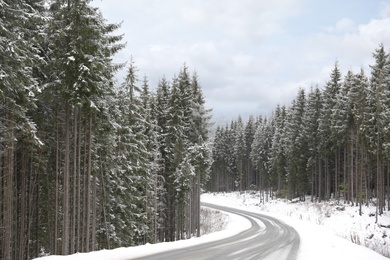 Photo of Beautiful landscape with conifer forest and road on snowy winter day