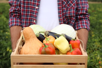 Photo of Farmer with wooden crate full of different vegetables in field, closeup. Harvesting time