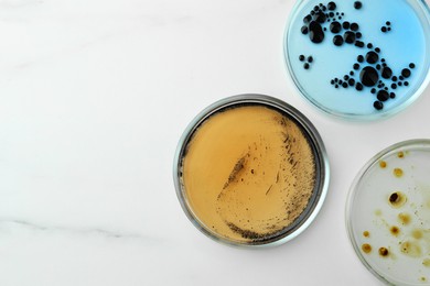 Photo of Petri dishes with different bacteria colonies on white marble table, flat lay. Space for text