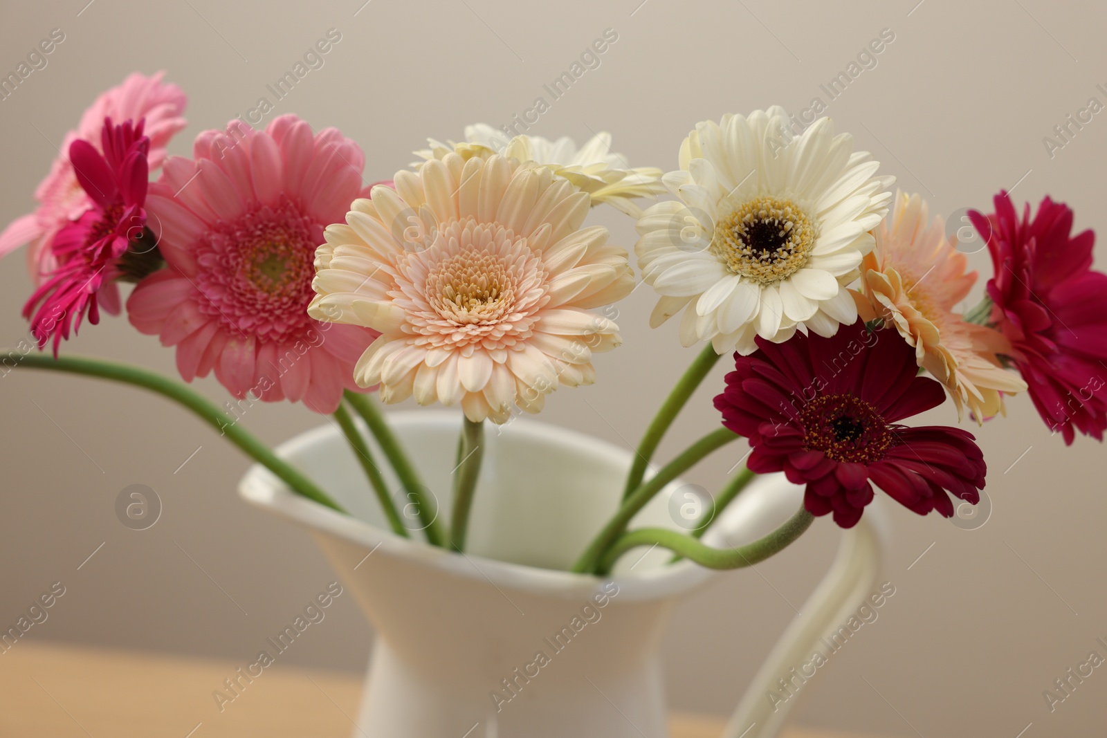 Jug with beautiful gerbera flowers on blurred background, closeup Photo of Jug with beautiful gerbera flowers on blurred background, closeup