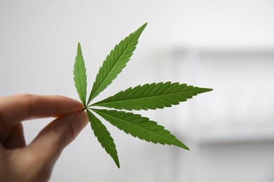 Photo of Woman with hemp leaf in office, closeup. Medical cannabis