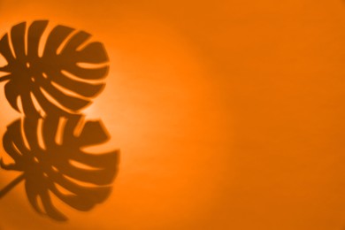 Image of Shadows of monstera leaves on orange background, space for text