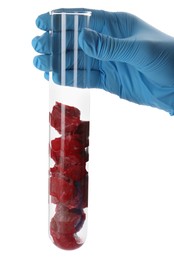 Photo of Scientist holding test tube with pieces of raw cultured meat on white background, closeup