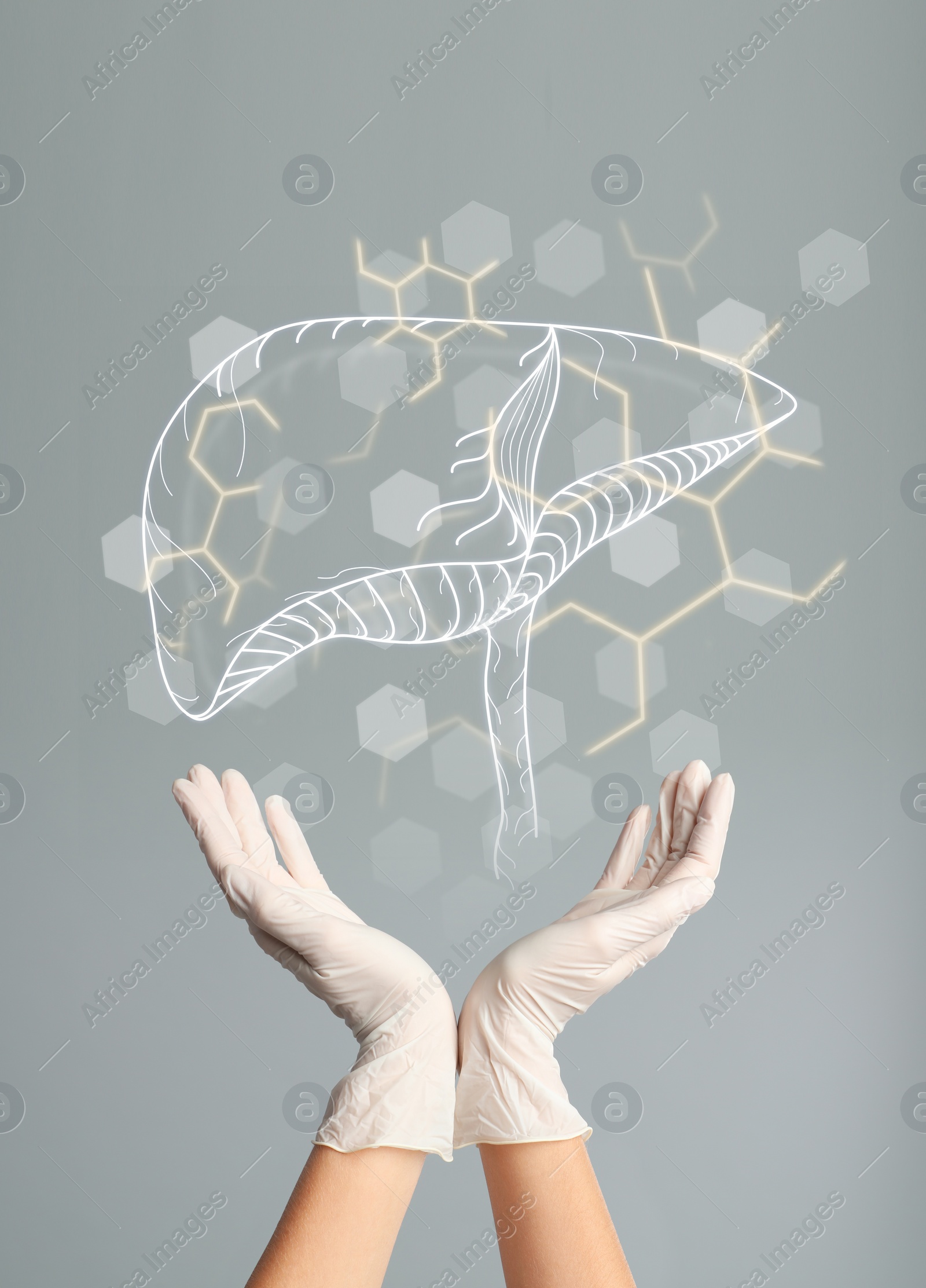 Image of Doctor in gloves and illustration of healthy liver on light grey background, closeup