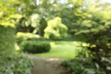 Photo of Blurred view of beautiful green trees and shrubs in garden on sunny day