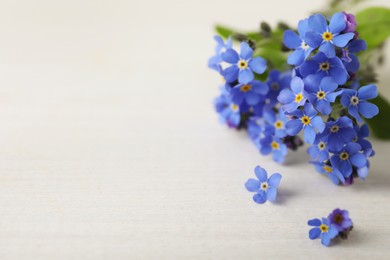 Photo of Beautiful blue forget-me-not flowers on white wooden table, closeup. Space for text