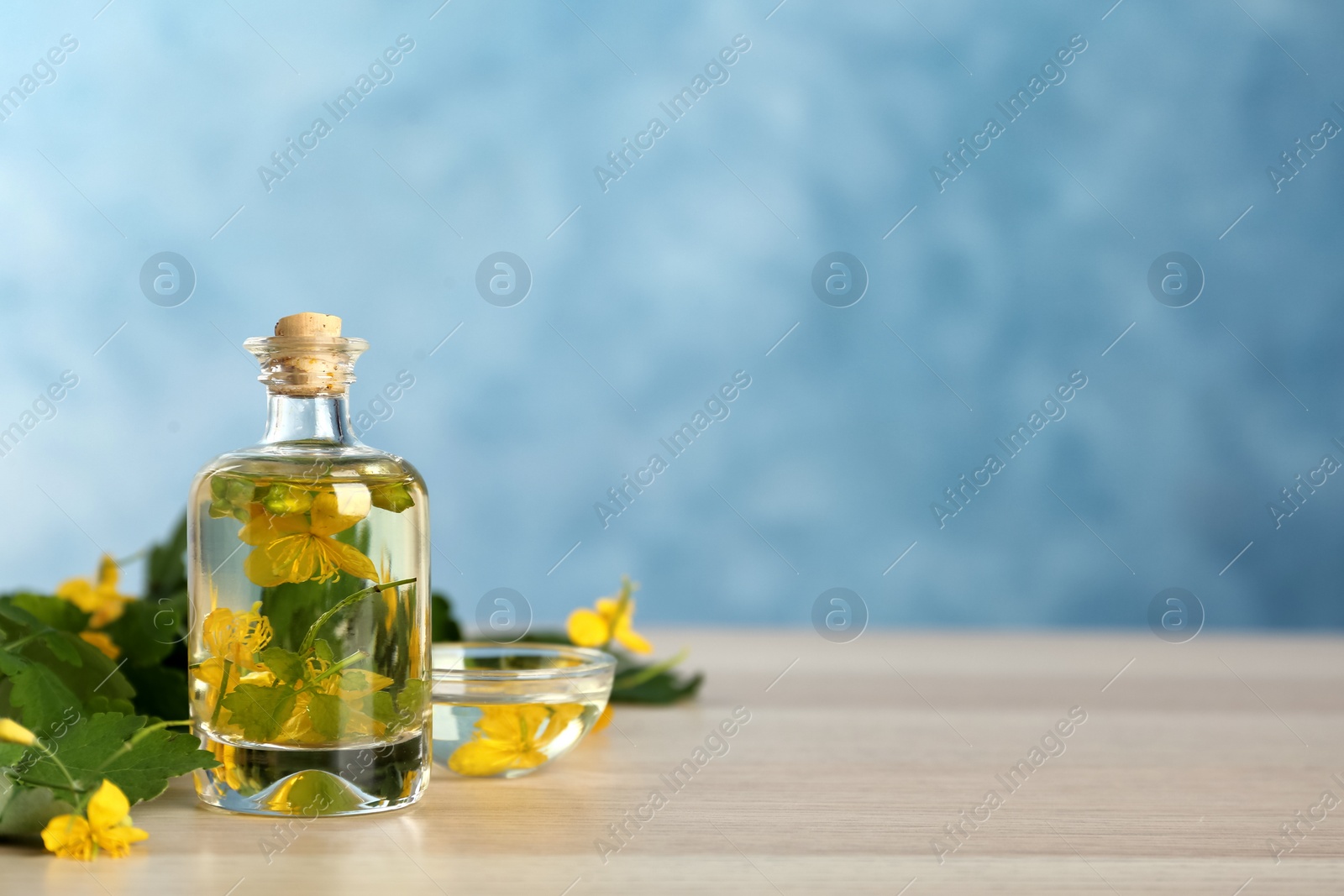 Photo of Bottle of celandine tincture and plant on white wooden table, space for text