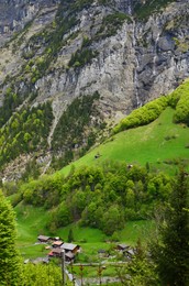 Photo of Picturesque view of village and green trees in mountains