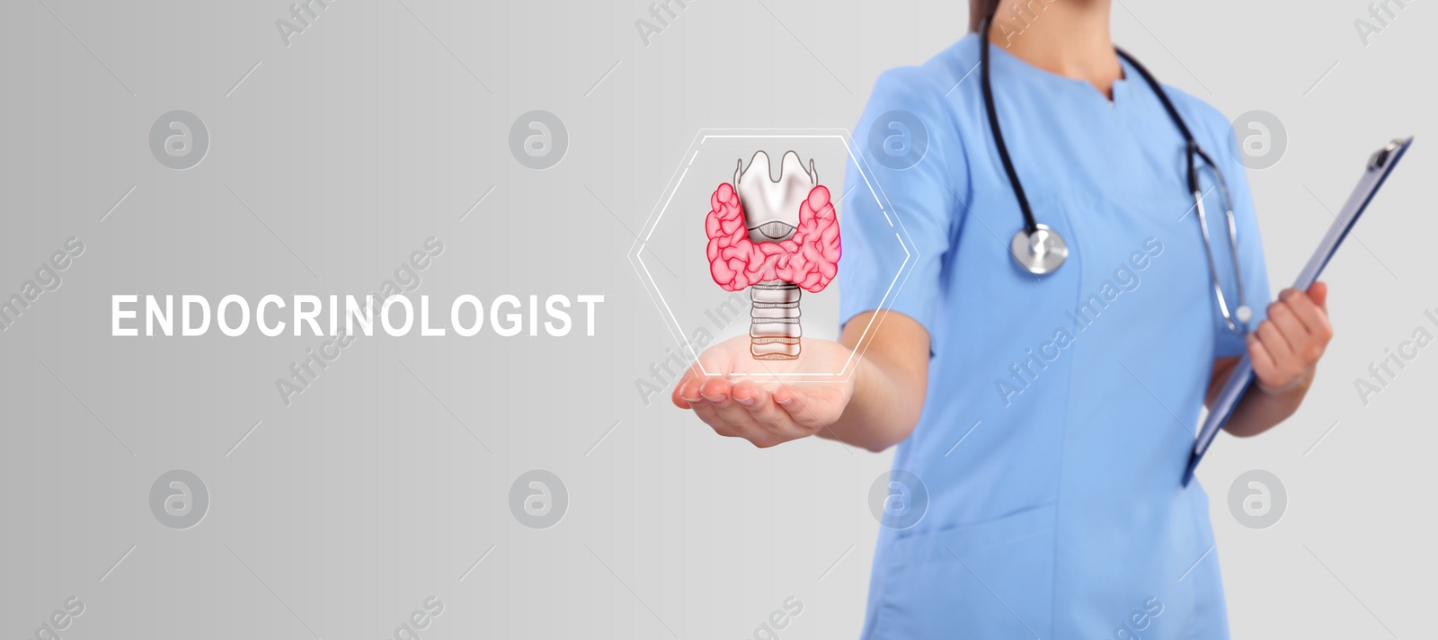 Image of Endocrinologist holding virtual thyroid gland on light grey background, closeup. Banner design