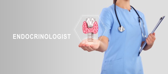 Endocrinologist holding virtual thyroid gland on light grey background, closeup. Banner design