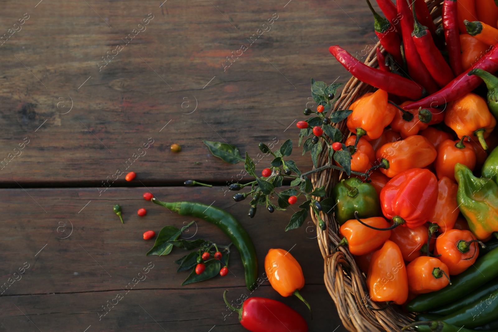 Photo of Many different fresh chilli peppers on wooden table, flat lay. Space for text