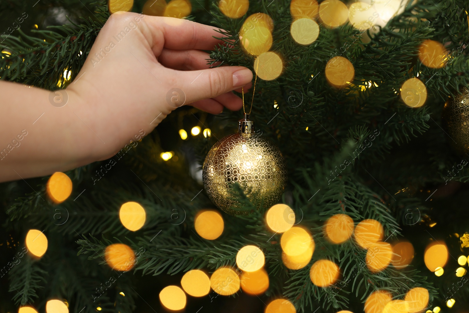 Photo of Woman decorating fir tree with golden Christmas ball, closeup