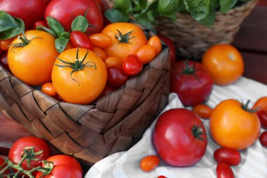 Photo of Different sorts of tomatoes on wooden bench