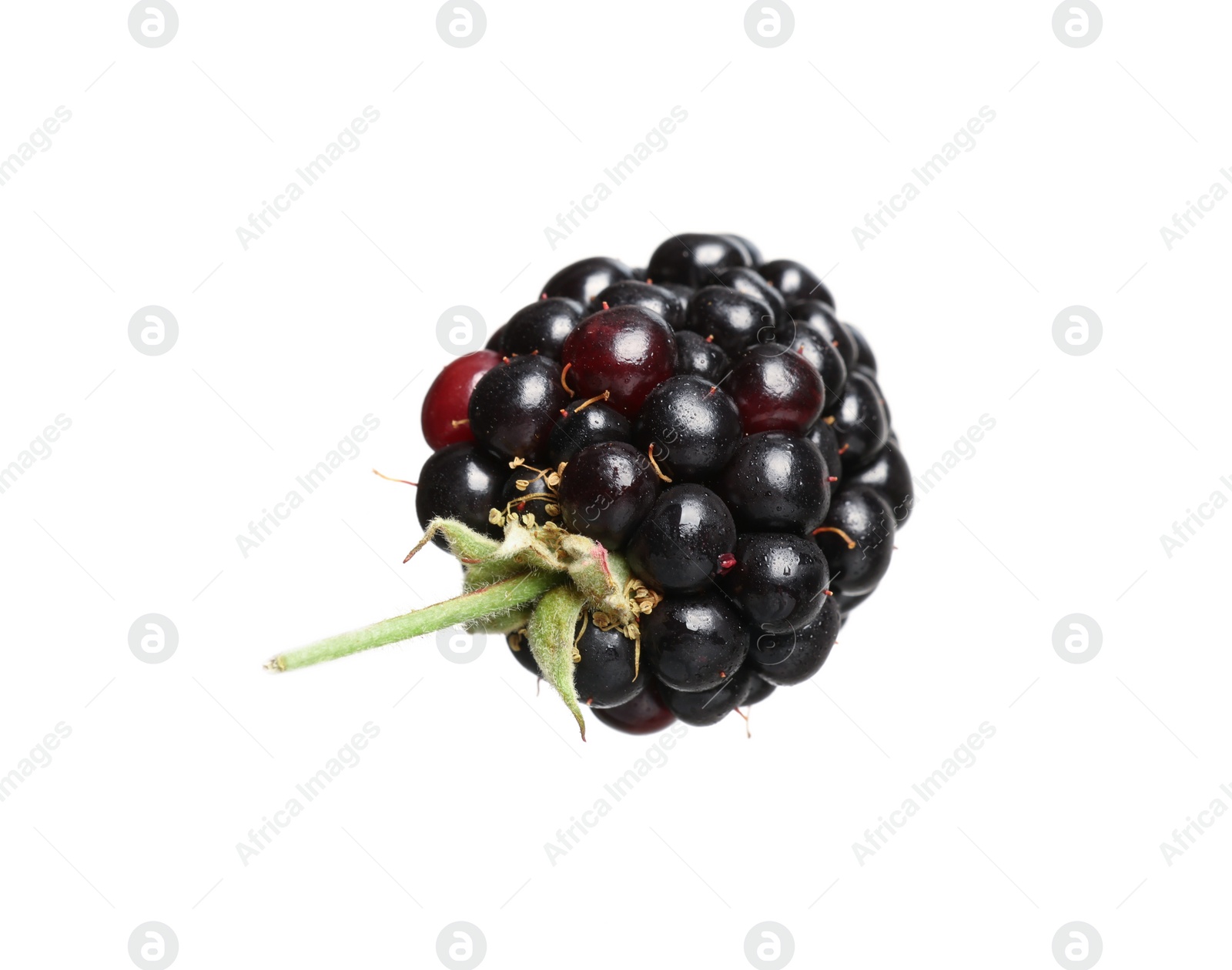 Photo of One tasty ripe blackberry isolated on white