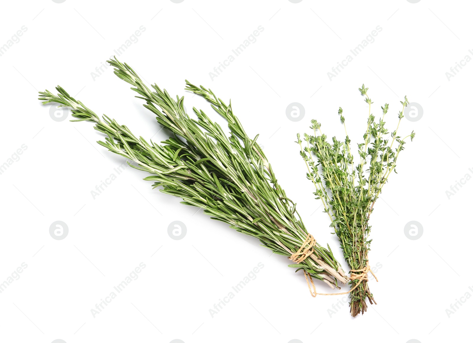 Photo of Rosemary and thyme on white background, top view. Aromatic herbs