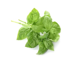 Photo of Fresh green basil leaves on white background