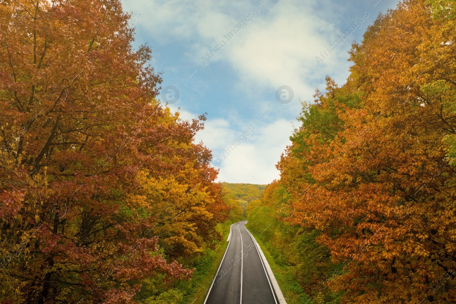 Image of Aerial view of road going through beautiful autumn forest