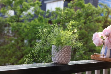 Photo of Balcony garden. Beautiful potted plant on railings outdoors