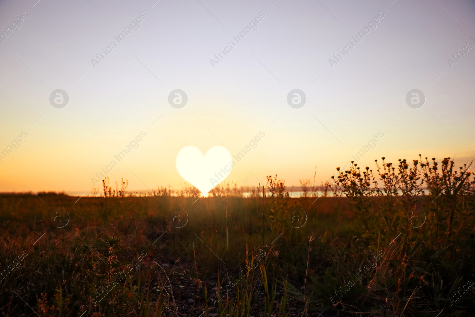 Image of Picturesque view of field and beautiful sunset