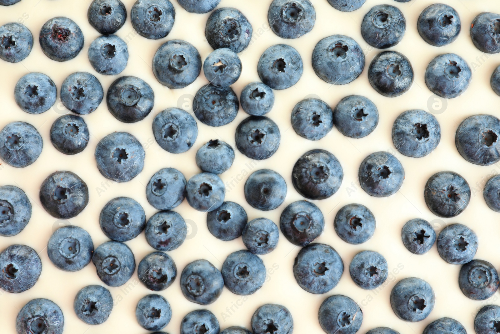 Photo of Tasty blueberry cake as background, closeup view