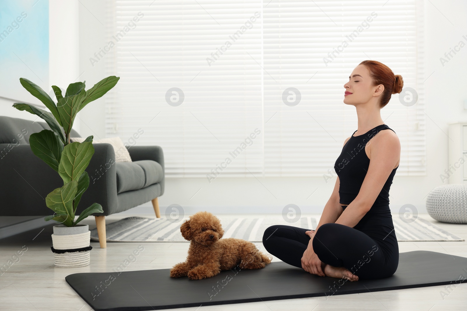 Photo of Young woman practicing yoga on mat with her cute dog at home